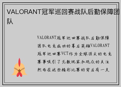VALORANT冠军巡回赛战队后勤保障团队