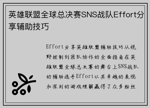 英雄联盟全球总决赛SNS战队Effort分享辅助技巧