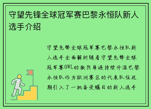守望先锋全球冠军赛巴黎永恒队新人选手介绍